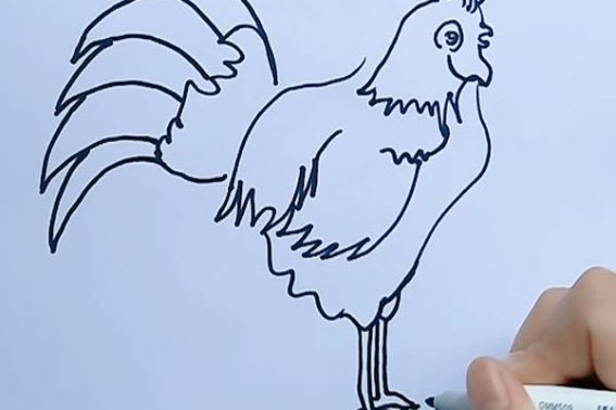 儿童画公鸡的简单画法