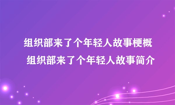 组织部来了个年轻人故事梗概 组织部来了个年轻人故事简介