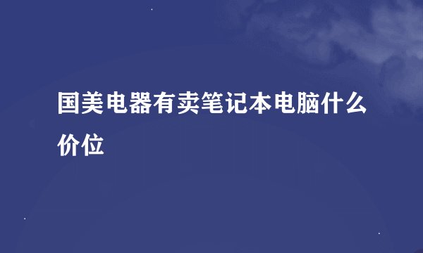 国美电器有卖笔记本电脑什么价位