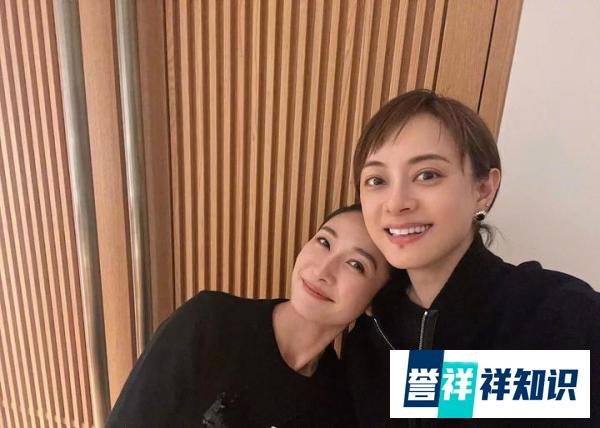 郑恺一家五口露营,儿子首露正脸,苗苗瘦削脱相,家庭主妇不好当