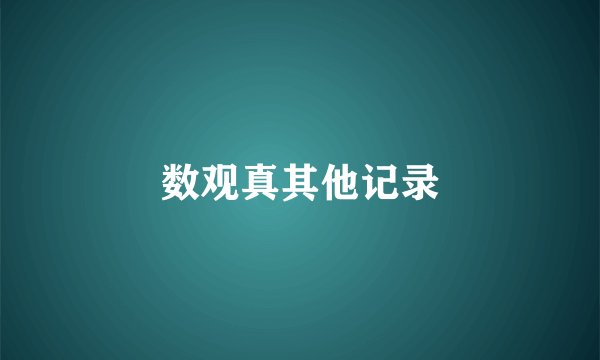 数观真其他记录