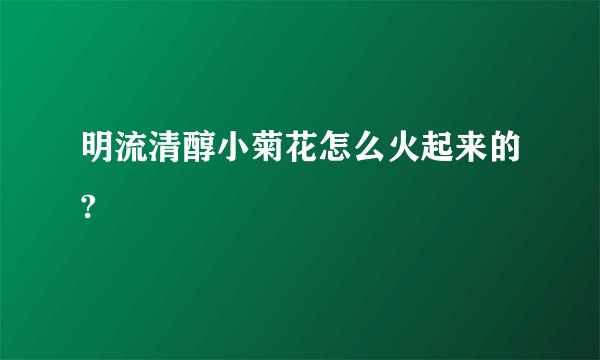 明流清醇小菊花怎么火起来的?