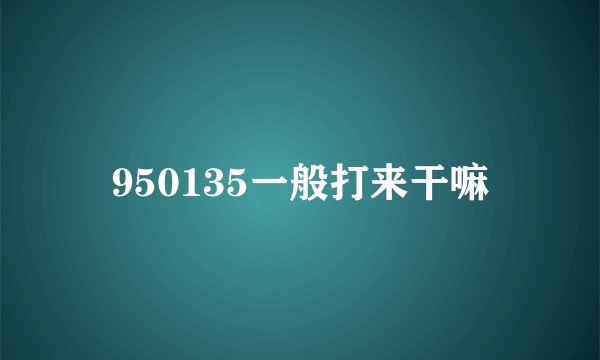 950135一般打来干嘛