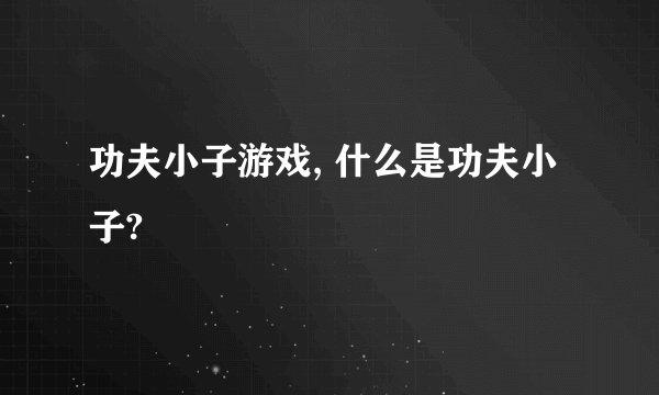 功夫小子游戏, 什么是功夫小子?