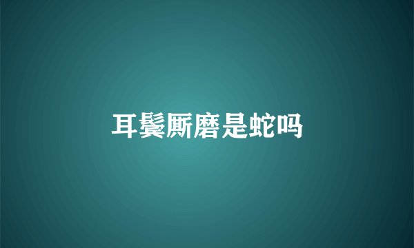 耳鬓厮磨是蛇吗