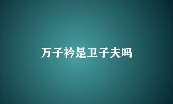 万子衿是卫子夫吗