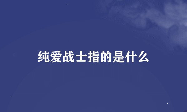 纯爱战士指的是什么