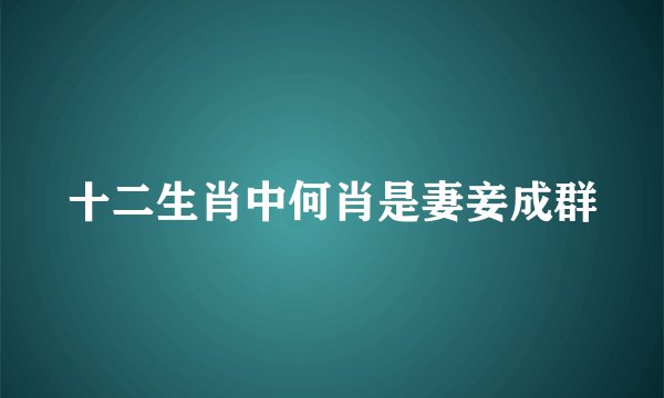 十二生肖中何肖是妻妾成群