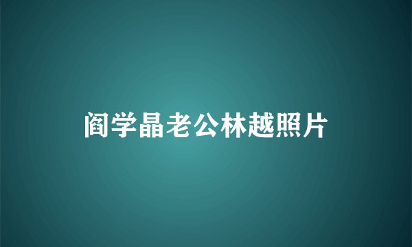 阎学晶老公林越照片