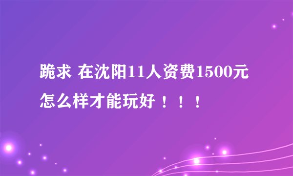 跪求 在沈阳11人资费1500元 怎么样才能玩好 ！！！