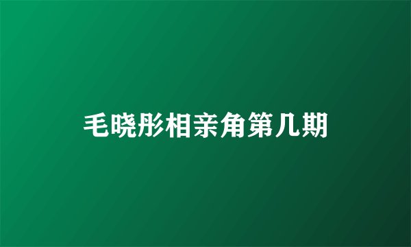 毛晓彤相亲角第几期