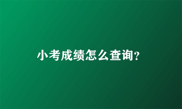 小考成绩怎么查询?