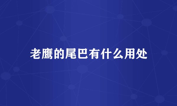 老鹰的尾巴有什么用处