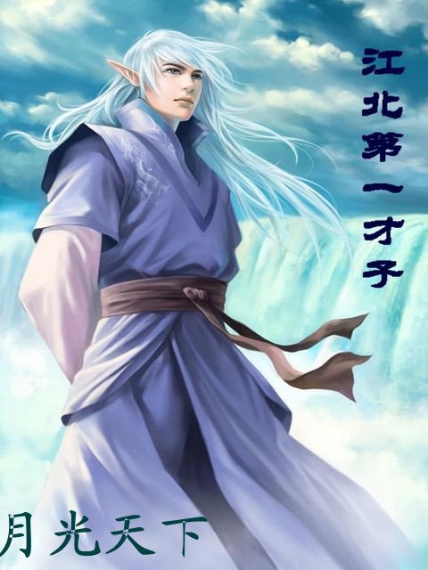 江北第一才子的小说介绍
