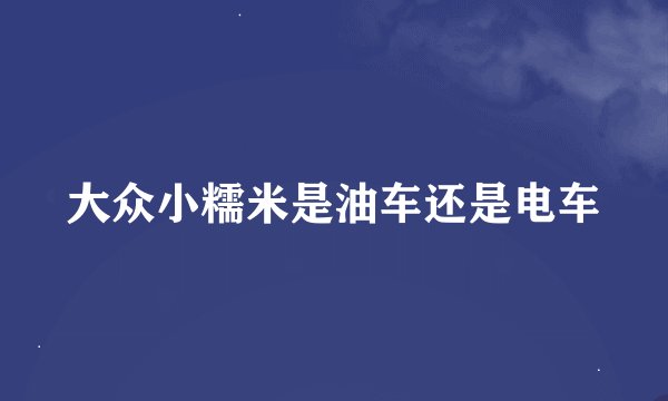 大众小糯米是油车还是电车