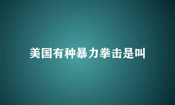 美国有种暴力拳击是叫