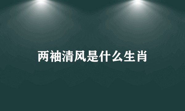 两袖清风是什么生肖