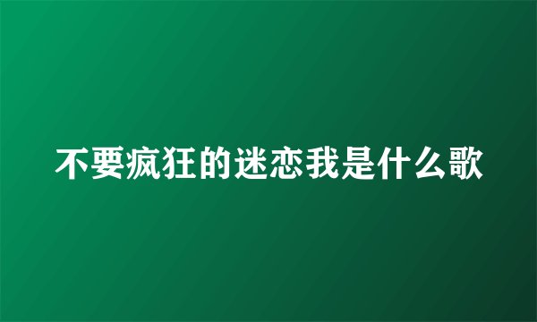 不要疯狂的迷恋我是什么歌