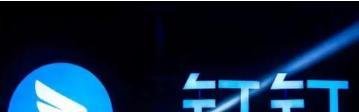 上网课的老师可以从钉钉里面看见学生吗