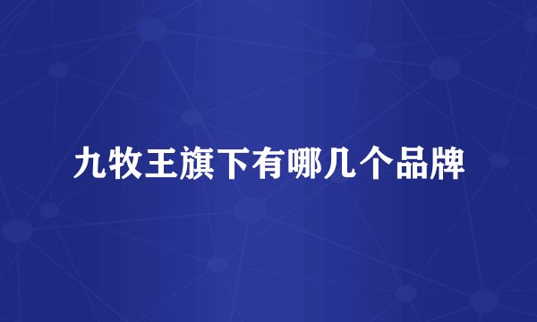 九牧王旗下有哪几个品牌