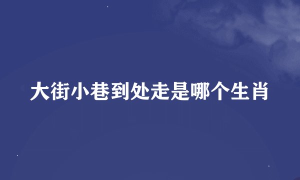 大街小巷到处走是哪个生肖