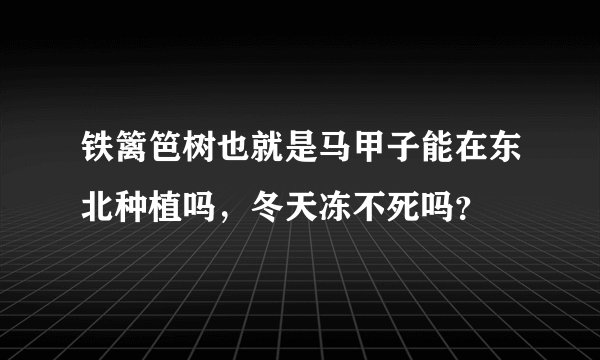 铁篱笆树也就是马甲子能在东北种植吗，冬天冻不死吗？