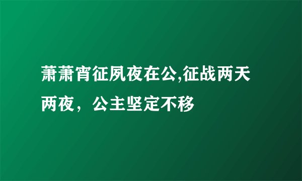 萧萧宵征夙夜在公,征战两天两夜，公主坚定不移
