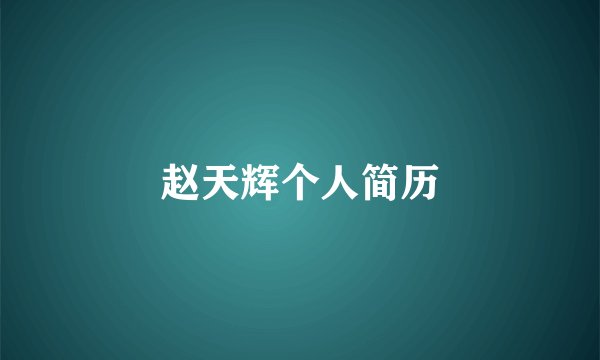 赵天辉个人简历