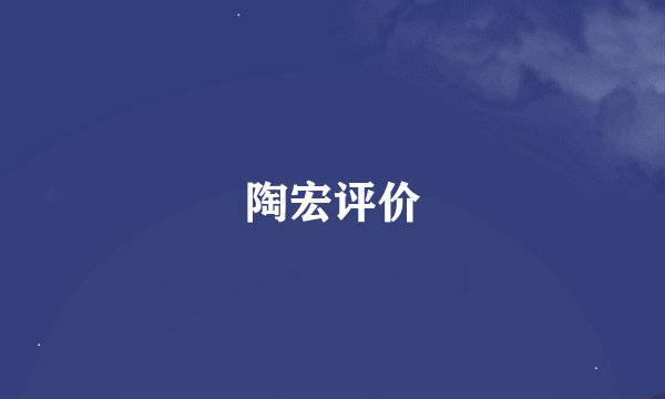 陶宏评价