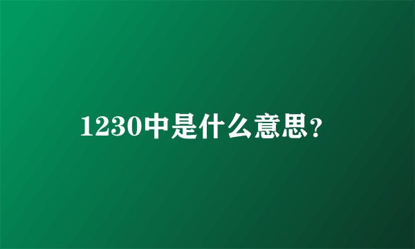 1230中是什么意思？