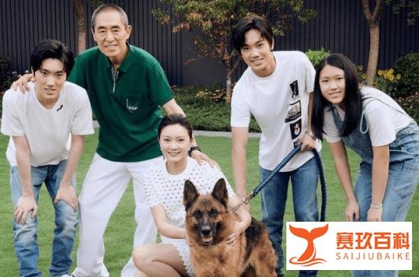 传张艺谋与妻子离婚，陈婷疑转移财产跑路，知情人曝更多内幕