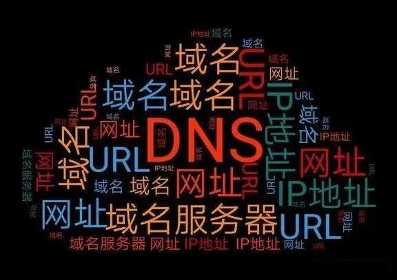 求www().com中间填什么