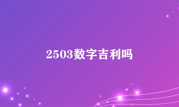2503数字吉利吗
