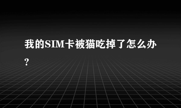 我的SIM卡被猫吃掉了怎么办?