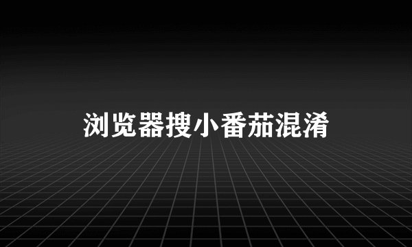 浏览器搜小番茄混淆