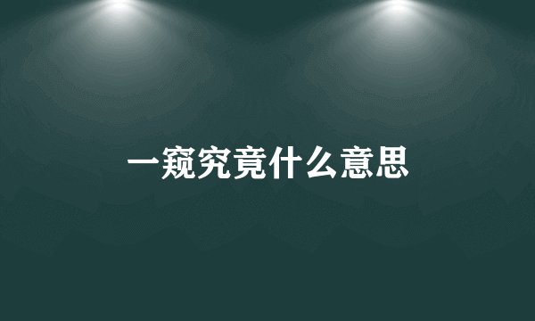 一窥究竟什么意思