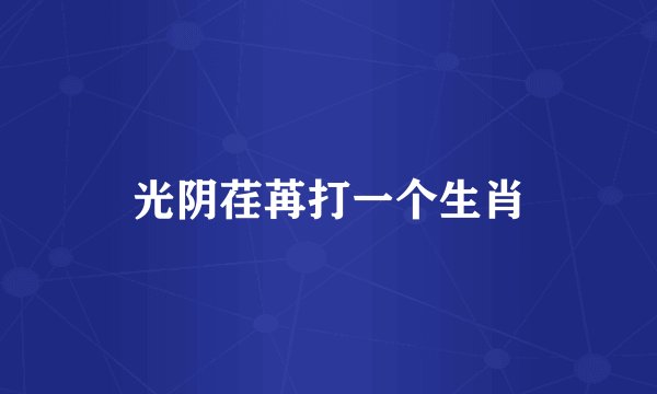 光阴荏苒打一个生肖
