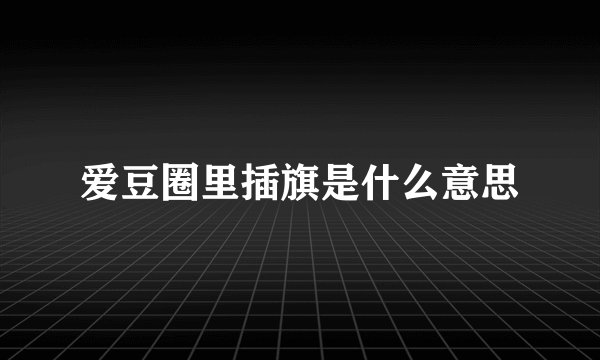 爱豆圈里插旗是什么意思