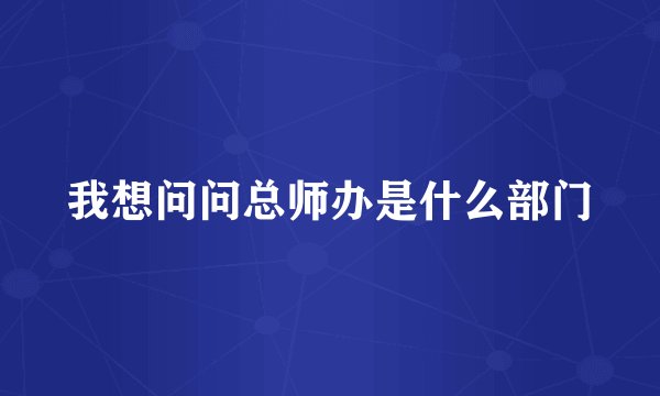 我想问问总师办是什么部门