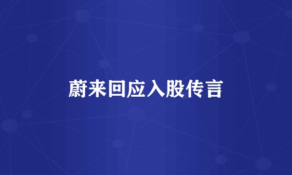 蔚来回应入股传言