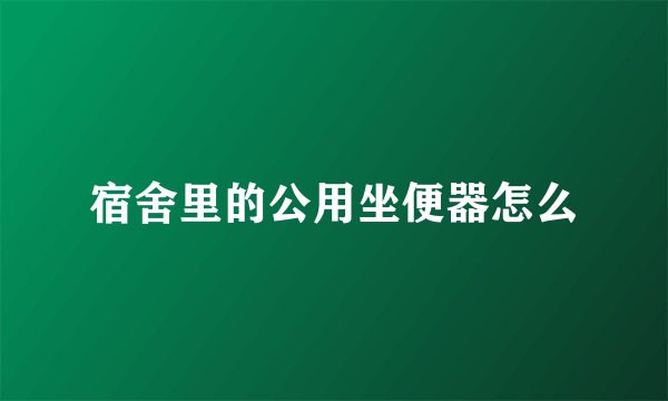 宿舍里的公用坐便器怎么