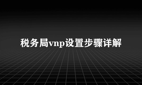 税务局vnp设置步骤详解
