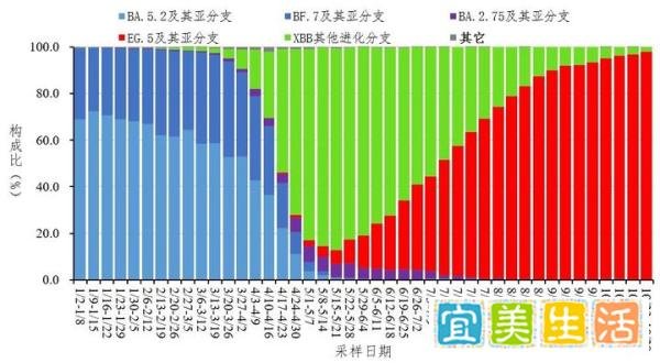 中疾控:10月共报告新增新冠感染重症209例、死亡24例