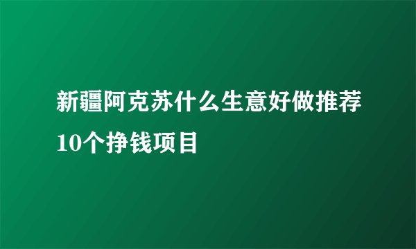 新疆阿克苏什么生意好做推荐10个挣钱项目