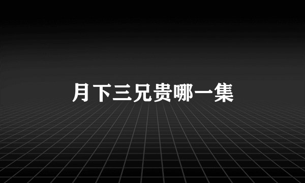 月下三兄贵哪一集