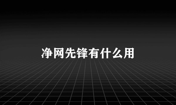净网先锋有什么用