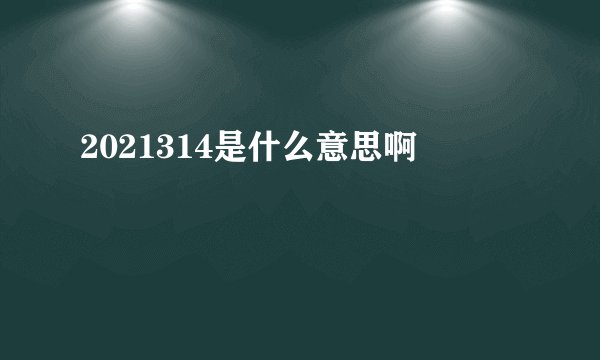 2021314是什么意思啊