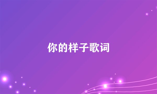 你的样子歌词