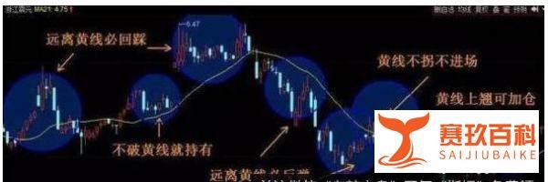 波段之魂 ： 