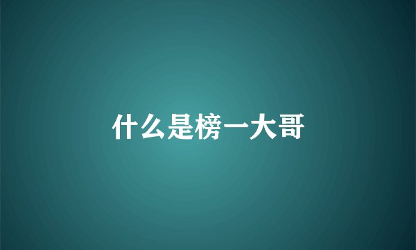 什么是榜一大哥